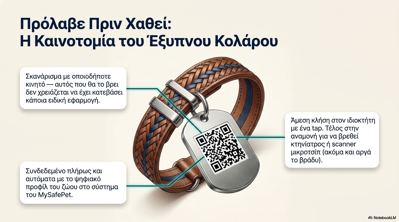 MySafePet Neighborhood Shield — slide 8